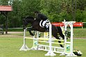 204M0509_Sirius Black_Spr_Pferde_A